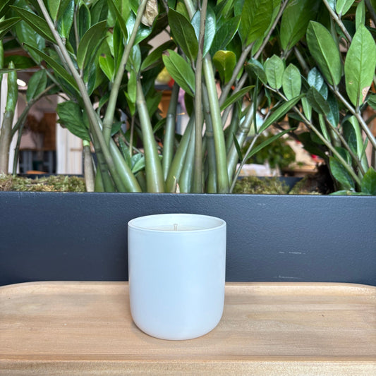 Pure Soy Candle | Surprise Scent! | 12 oz Single Wick