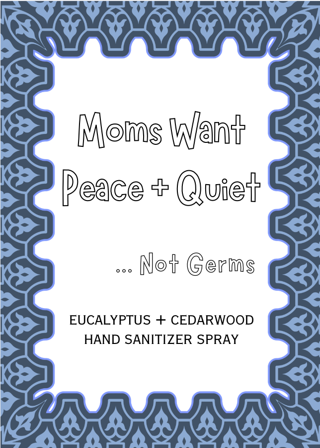 Moms Want Peace + Quiet | Black | 20 ml Pocket Hand Sanitizer Spray